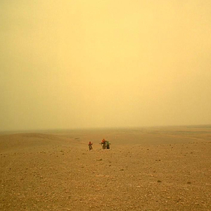 阿部夏树进军暗黑界
