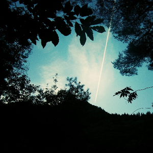 阿部夏树进军暗黑界
