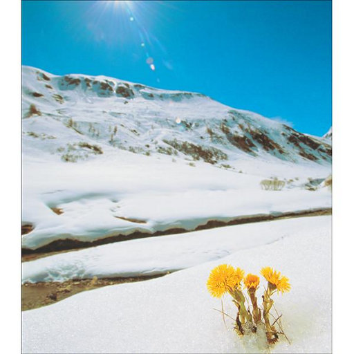 阿部夏树进军暗黑界
